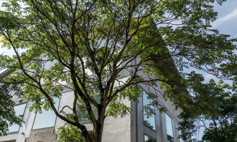 HIL Fokus Wir entscheiden